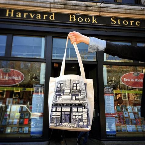 Small Canvas Bag (Illustrated Storefront)